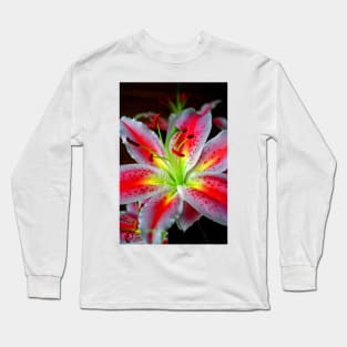 Pink Lily Lilium Herbaceous Flowering Plants Long Sleeve T-Shirt